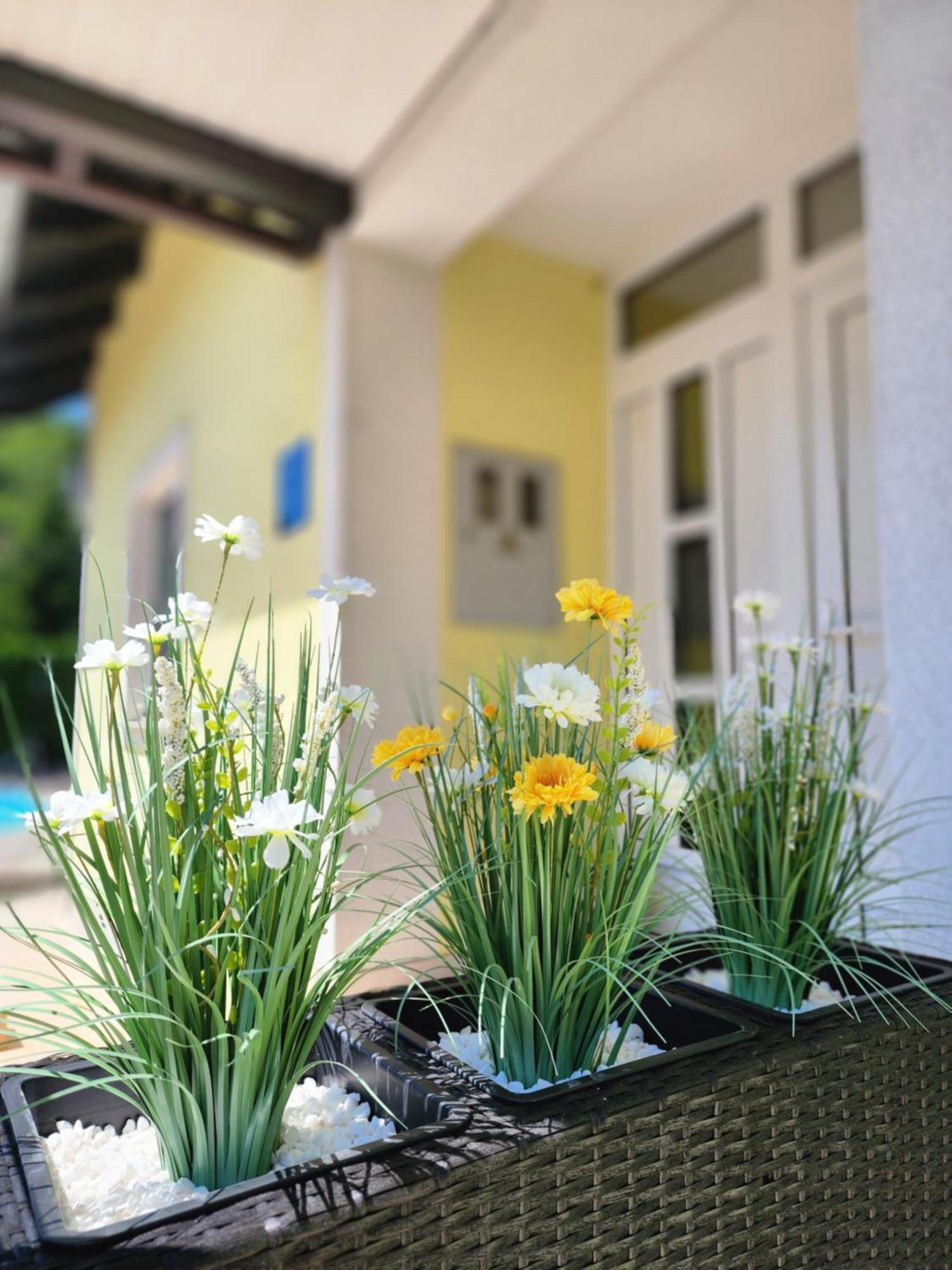 Villa Spa Magic Tuheljske Toplice Dış mekan fotoğraf