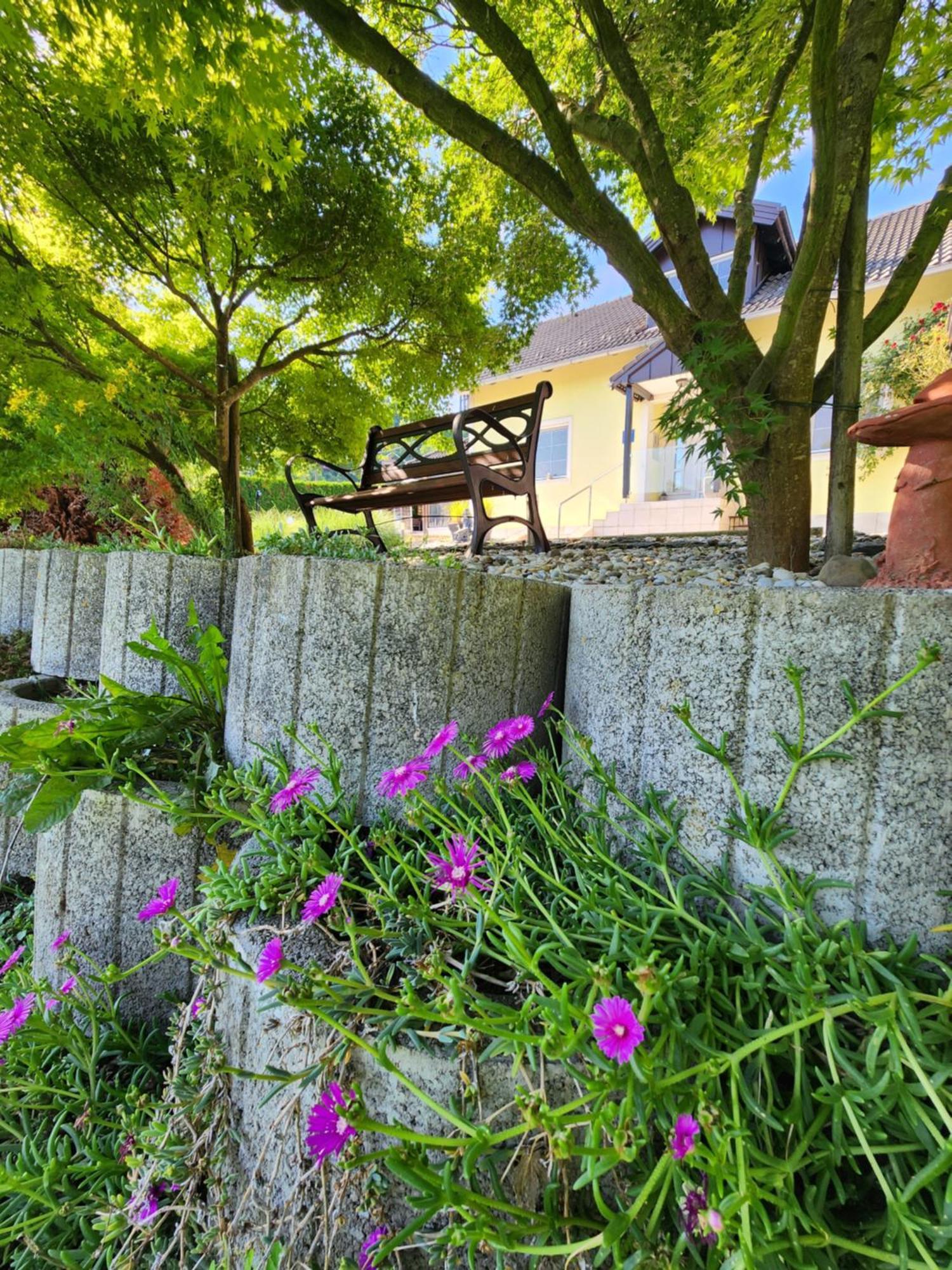 Villa Spa Magic Tuheljske Toplice Dış mekan fotoğraf