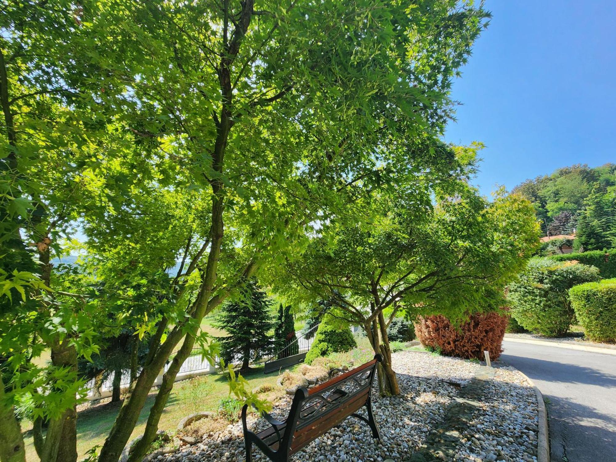 Villa Spa Magic Tuheljske Toplice Dış mekan fotoğraf